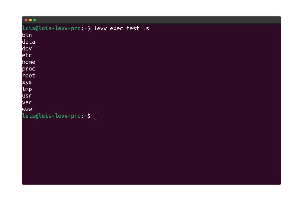 Example of executing a command in a container
