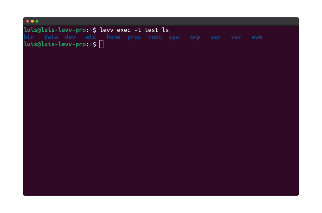 Example of executing a command in a container using the -t/--tty option