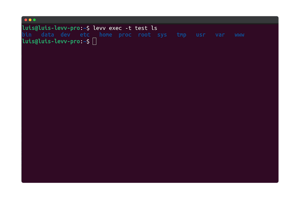 Example of executing a command in a container using the -t/--tty option